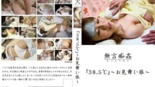 DMAT-016 Silent Molestation "38.5℃" ~Visiting Wolf~