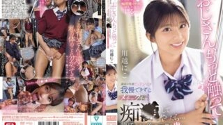 SONE-673 "Uncle, touch me more." I couldn't resist the bright-smiling innocent girl and started molesting her… She became addicted to my technique more than her boyfriend. Kawagoe Niko